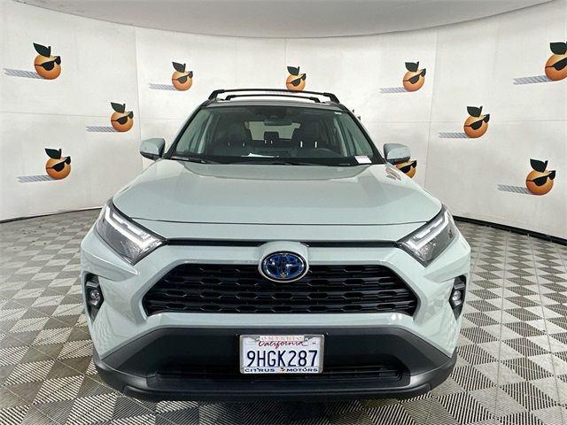 2023 Toyota RAV4 Hybrid XLE Premium