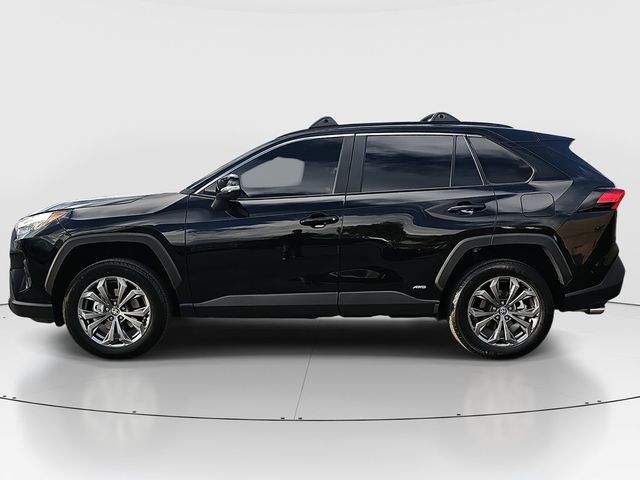 2023 Toyota RAV4 Hybrid XLE Premium