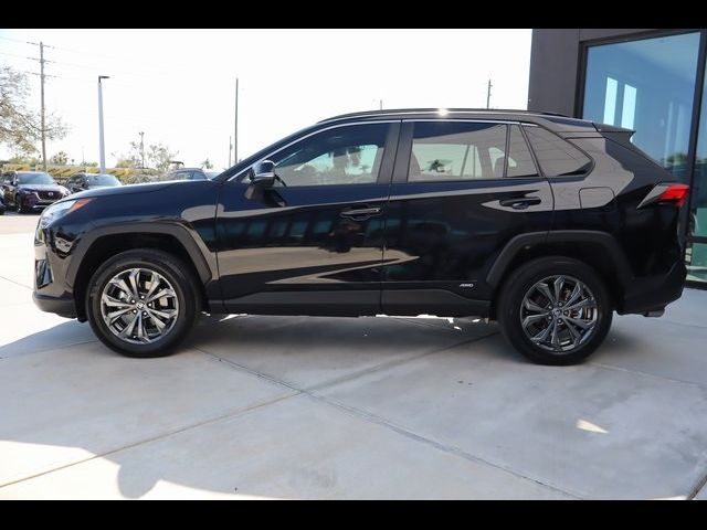 2023 Toyota RAV4 Hybrid XLE Premium