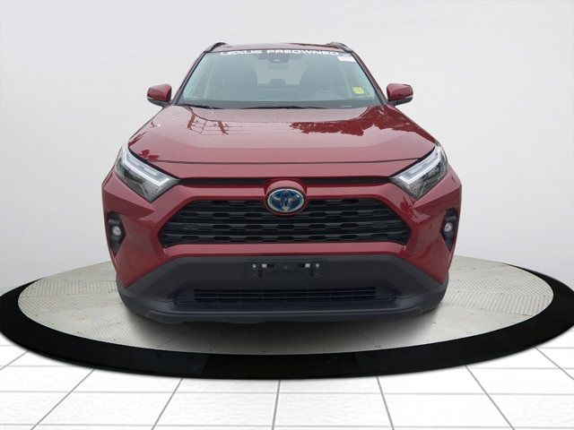 2023 Toyota RAV4 Hybrid XLE Premium