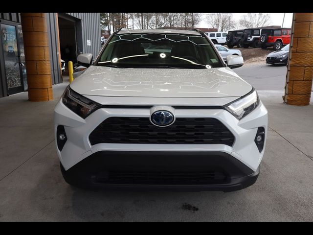 2023 Toyota RAV4 Hybrid XLE Premium