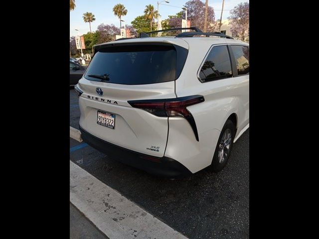 2023 Toyota Sienna XLE