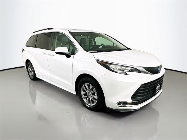 2023 Toyota Sienna XLE