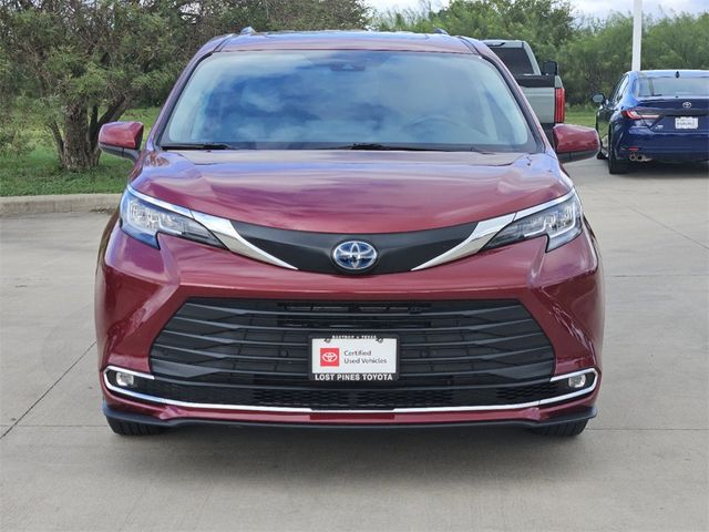 2023 Toyota Sienna XLE