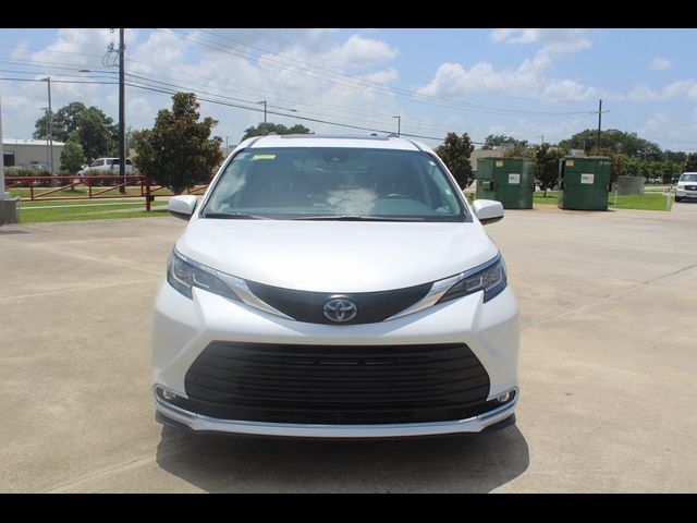 2023 Toyota Sienna XLE