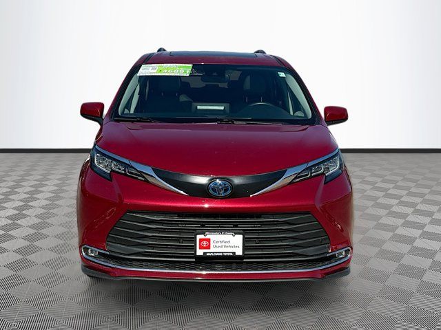 2023 Toyota Sienna XLE