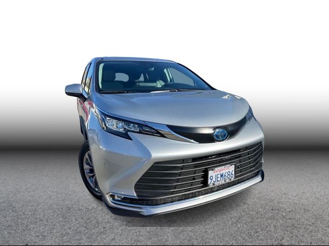 2023 Toyota Sienna XLE