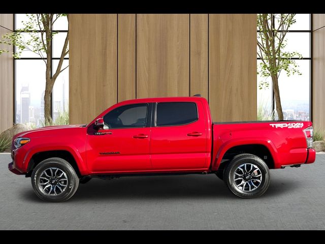 2023 Toyota Tacoma 