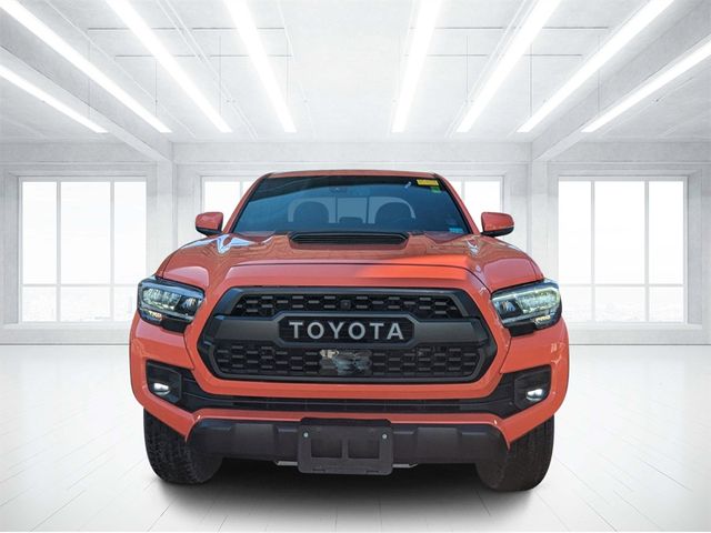 2023 Toyota Tacoma TRD Pro