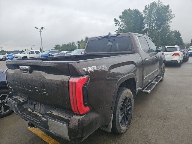 2023 Toyota Tundra 1794 Edition