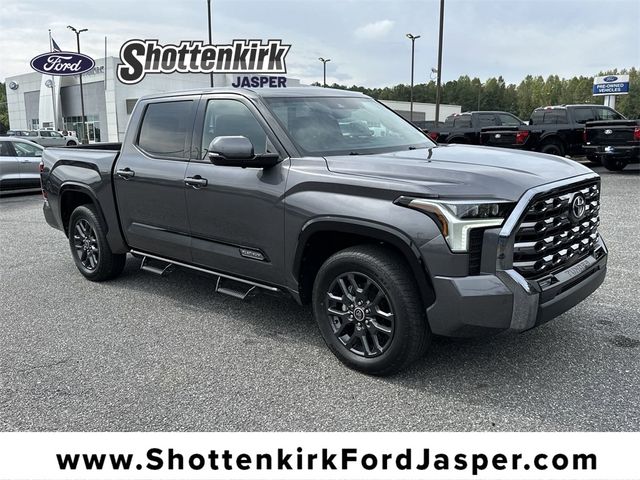 2023 Toyota Tundra Platinum