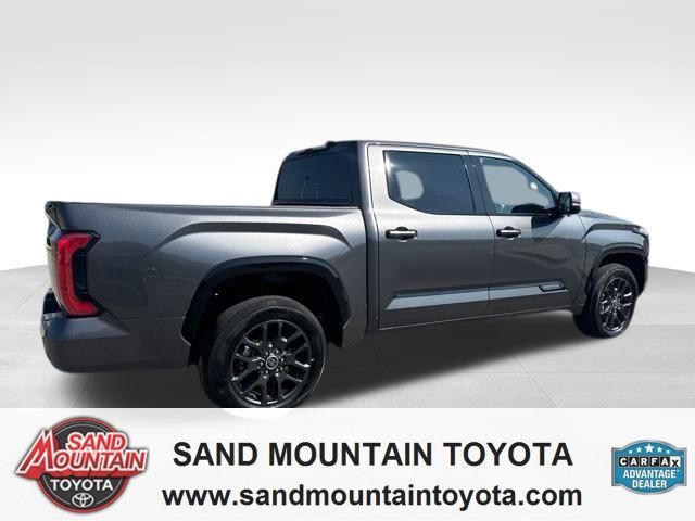 2023 Toyota Tundra Platinum