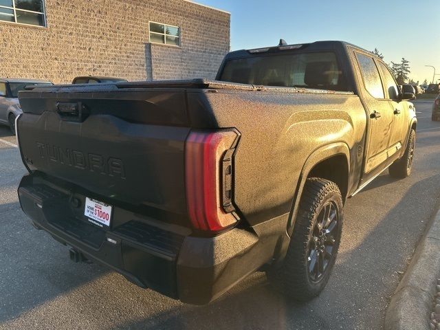 2023 Toyota Tundra Platinum