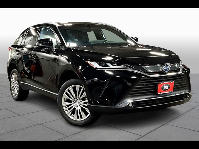 2023 Toyota Venza XLE