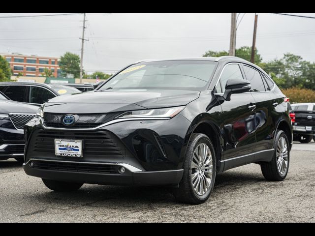 2023 Toyota Venza XLE