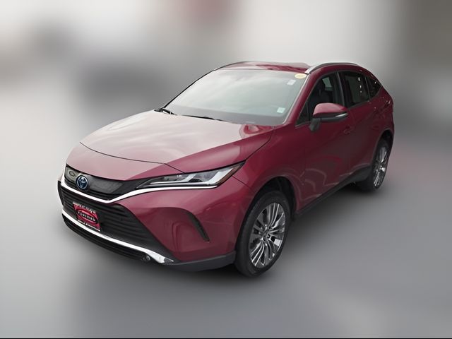 2023 Toyota Venza XLE