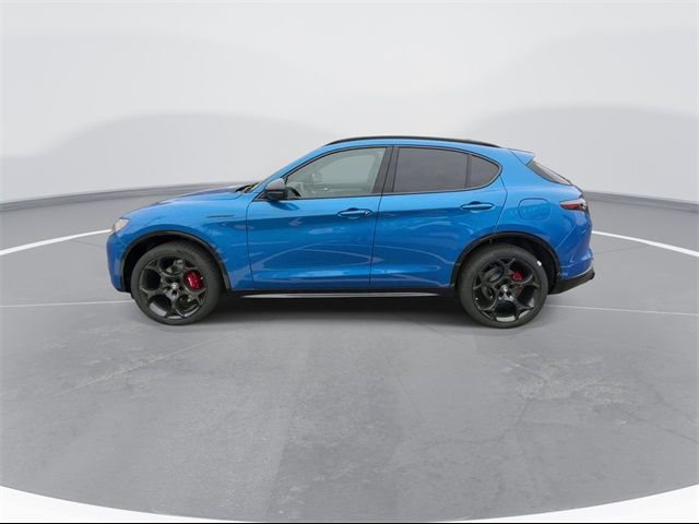 2024 Alfa Romeo Stelvio Competizione