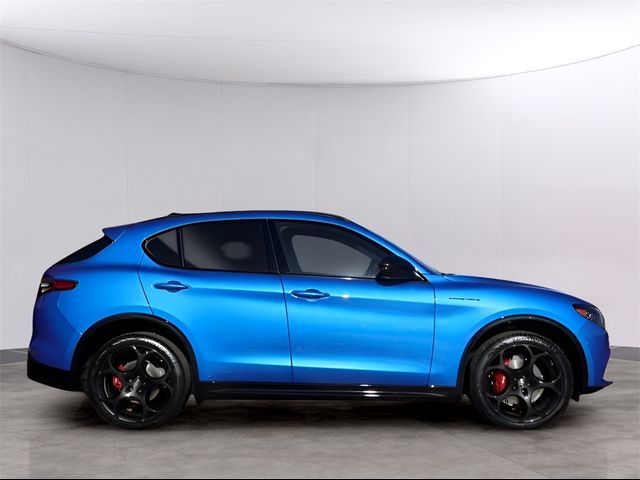 2024 Alfa Romeo Stelvio Competizione