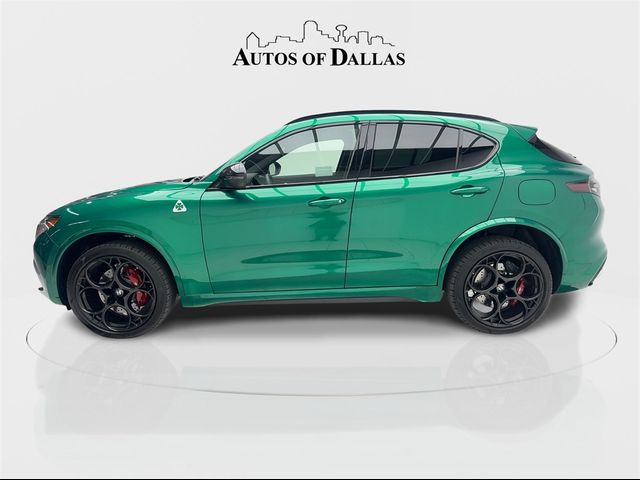 2024 Alfa Romeo Stelvio Quadrifoglio Carbon