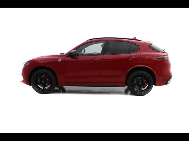 2024 Alfa Romeo Stelvio Quadrifoglio Carbon