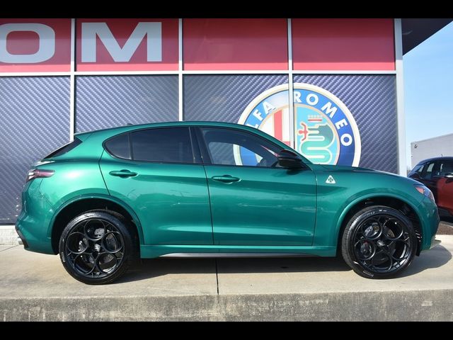 2024 Alfa Romeo Stelvio Quadrifoglio Carbon