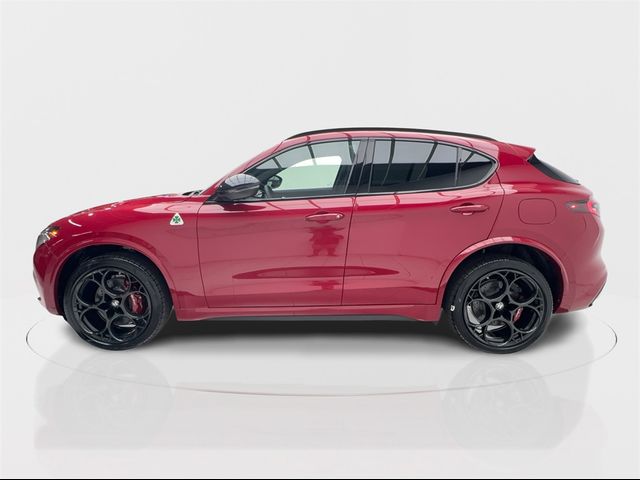 2024 Alfa Romeo Stelvio Quadrifoglio Carbon