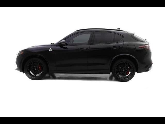 2024 Alfa Romeo Stelvio Quadrifoglio Carbon