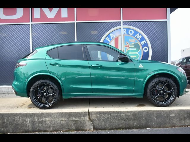 2024 Alfa Romeo Stelvio Quadrifoglio Carbon