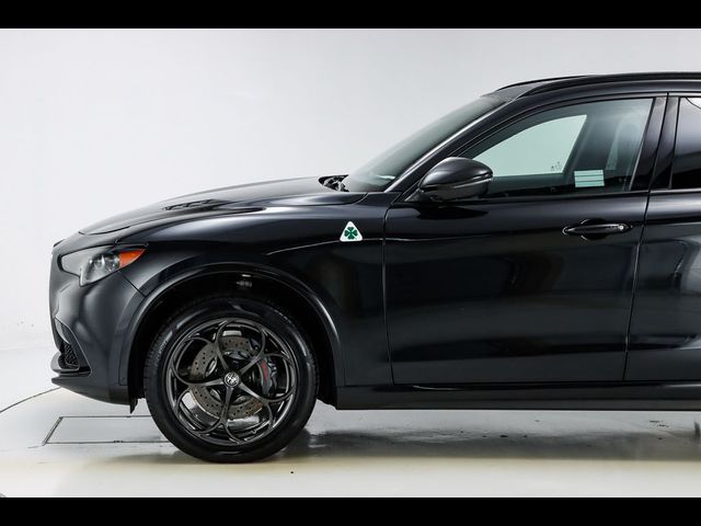 2024 Alfa Romeo Stelvio Quadrifoglio Carbon