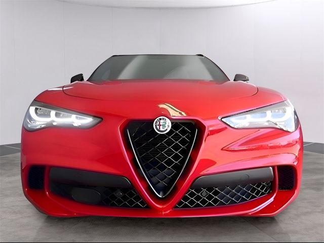 2024 Alfa Romeo Stelvio Quadrifoglio Carbon