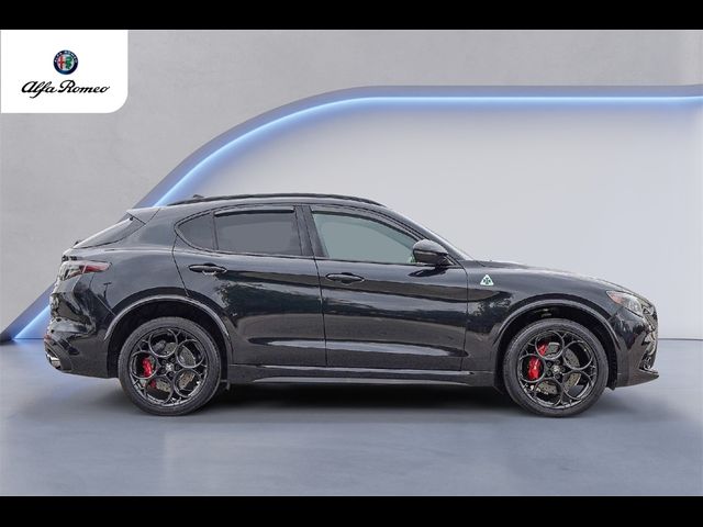 2024 Alfa Romeo Stelvio Quadrifoglio Carbon