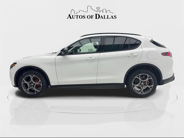 2024 Alfa Romeo Stelvio Sprint