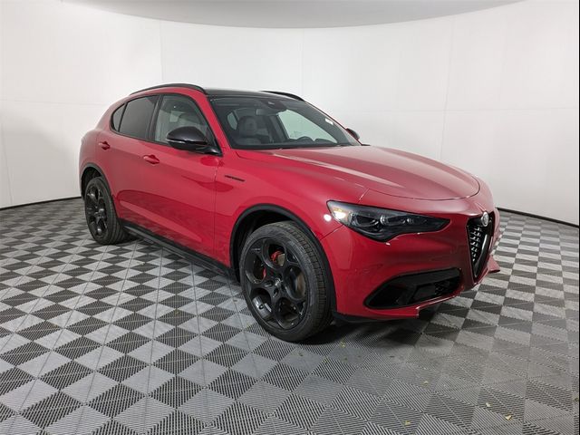 2024 Alfa Romeo Stelvio Competizione