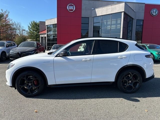 2024 Alfa Romeo Stelvio Veloce