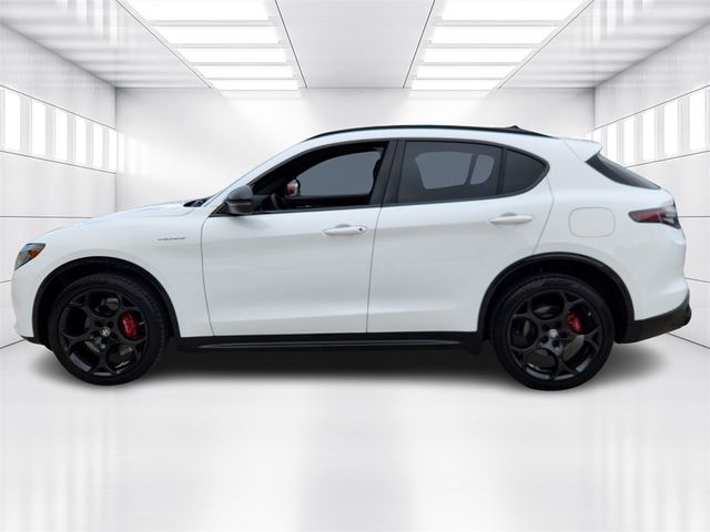 2024 Alfa Romeo Stelvio Veloce