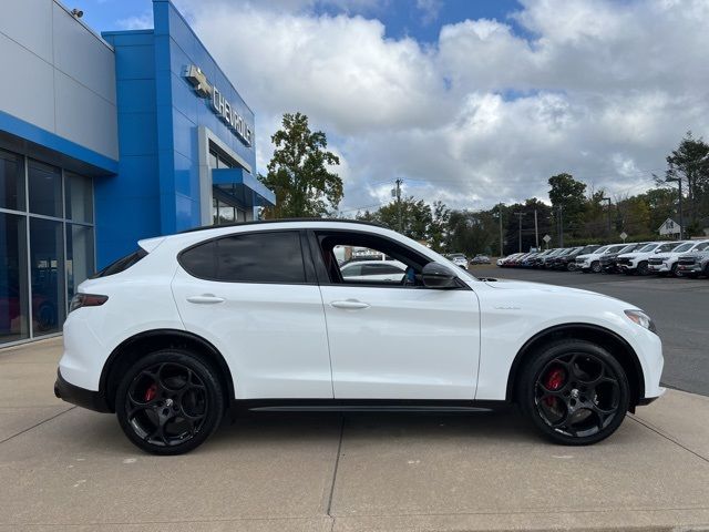 2024 Alfa Romeo Stelvio Veloce