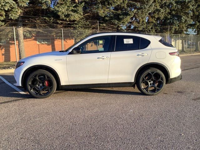 2024 Alfa Romeo Stelvio Veloce