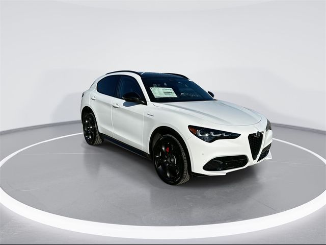 2024 Alfa Romeo Stelvio Veloce