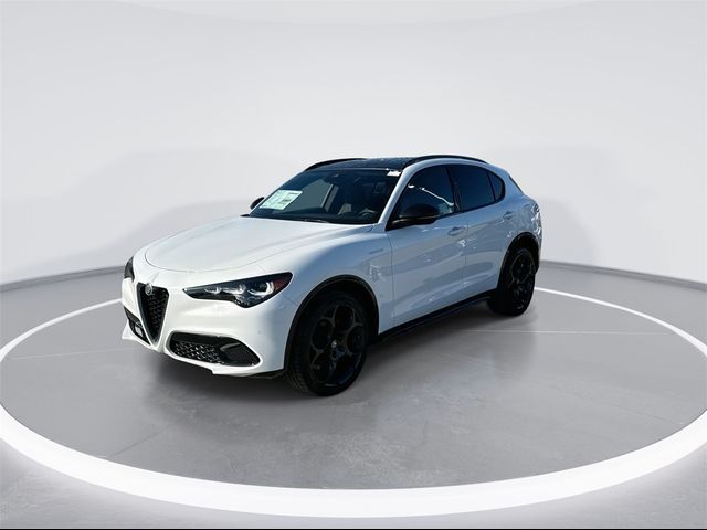 2024 Alfa Romeo Stelvio Veloce