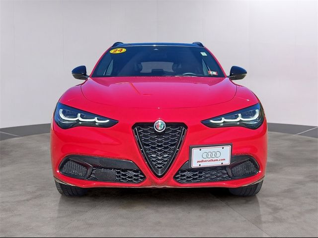 2024 Alfa Romeo Stelvio Veloce