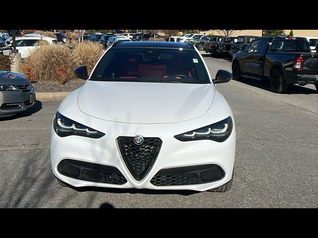 2024 Alfa Romeo Stelvio Veloce