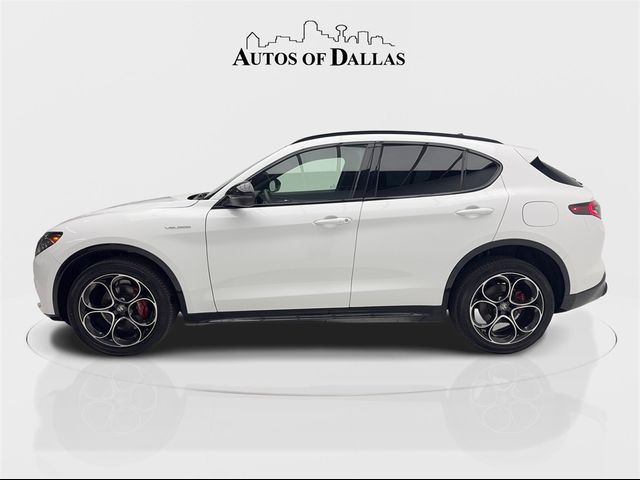 2024 Alfa Romeo Stelvio Veloce