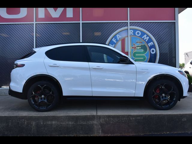 2024 Alfa Romeo Stelvio Veloce