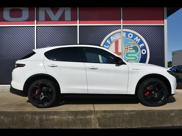 2024 Alfa Romeo Stelvio Veloce