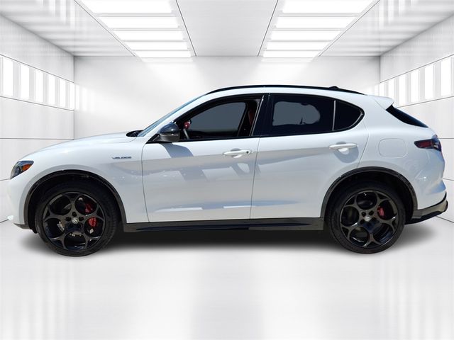 2024 Alfa Romeo Stelvio Veloce