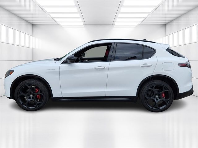 2024 Alfa Romeo Stelvio Veloce