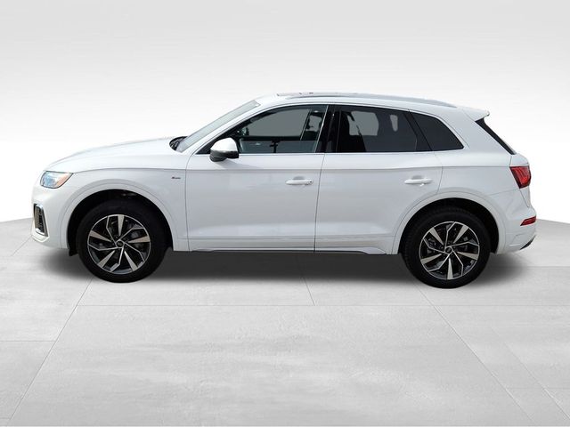 2024 Audi Q5 S Line Premium Plus