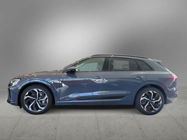 2024 Audi Q8 e-tron Premium Plus