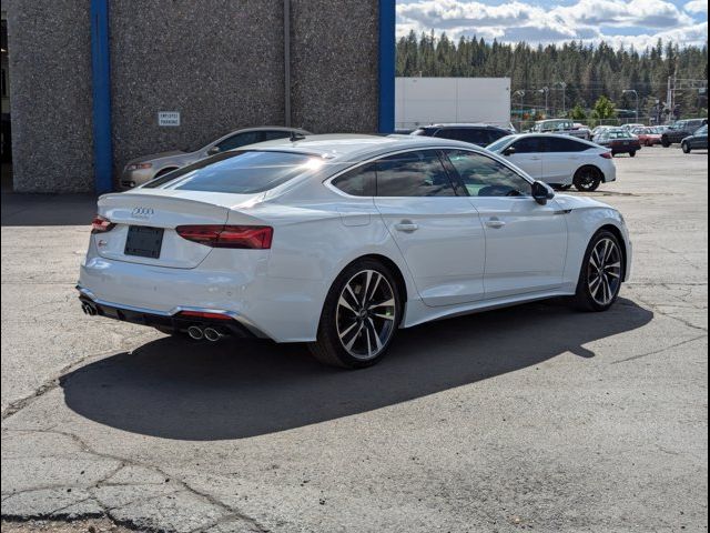 2024 Audi S5 Sportback Premium Plus