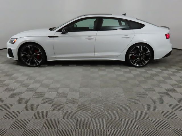 2024 Audi S5 Sportback Premium Plus